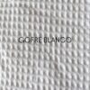 GOFRE BLANCO